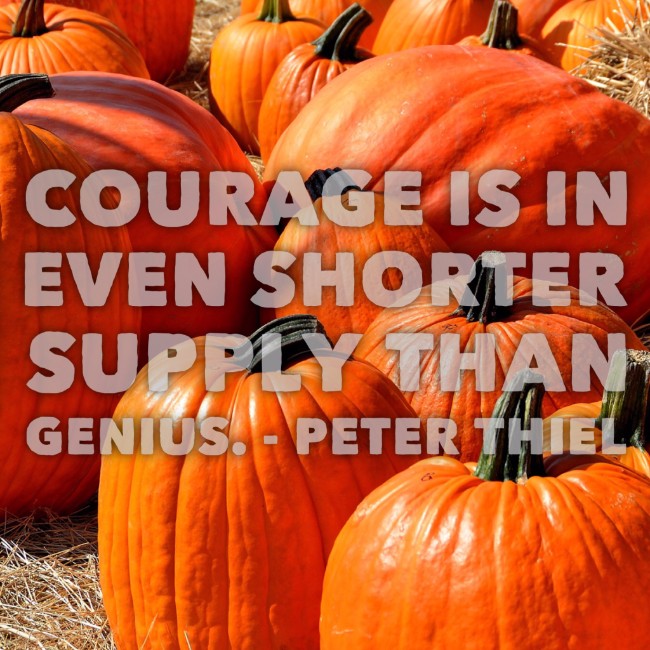 Courage is in even shorter supply than genius. ~ Peter Theil