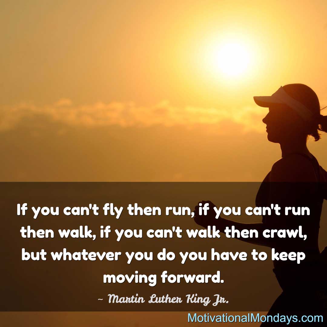 If you can't fly then run, if you can't run then walk, if you can't walk then crawl, but whatever you do you have to keep moving forward. ~ MLK