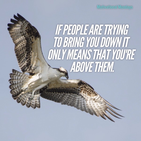 If people are trying to bring you down it only means that you're above them.