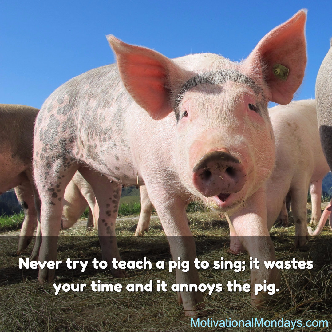 Never try to teach a pug to sing; it wastes your time and it annoys the pig.